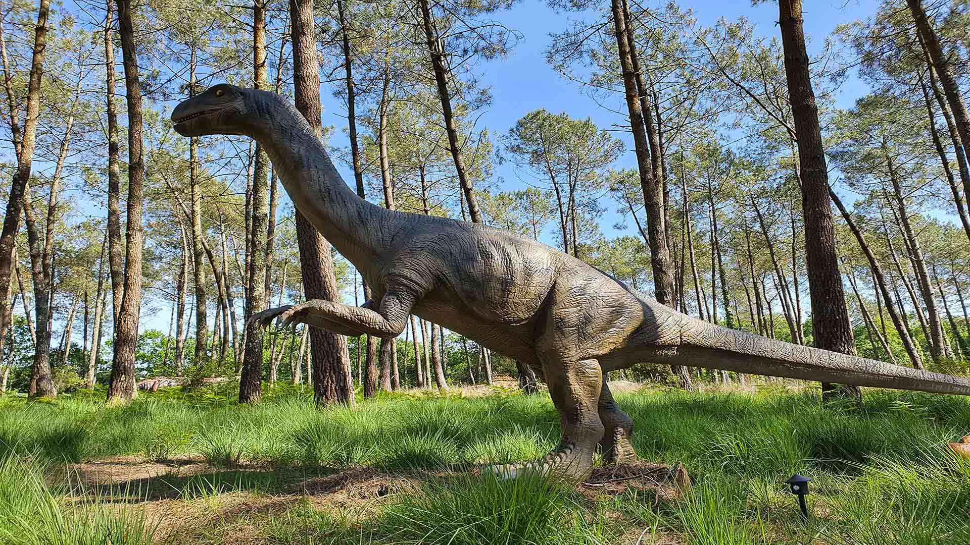 Dinosaures Parc d'attractions familial dans les Landes