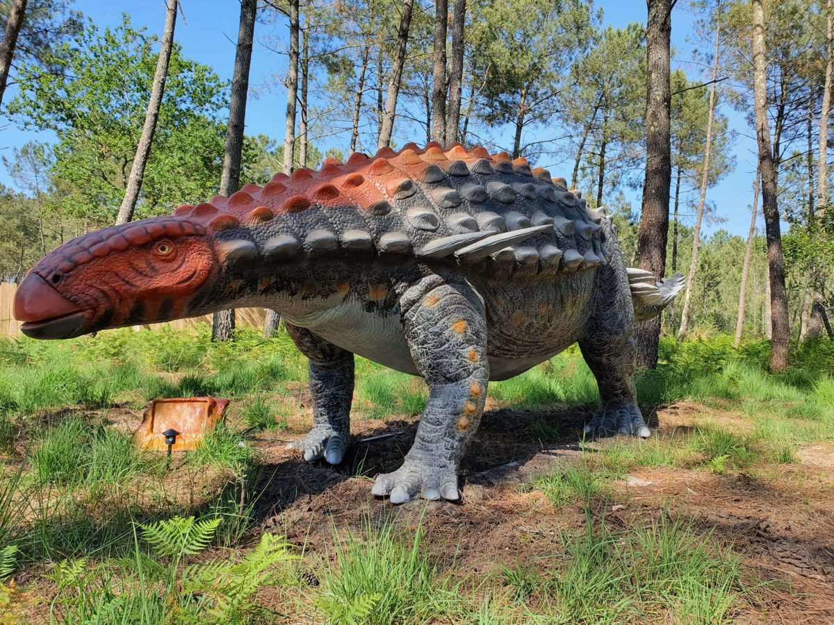 Dinosaures Parc d'attractions familial dans les Landes